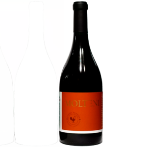 Molteni Bordeaux 2022