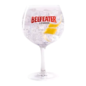 Gin Tonic Beefeater